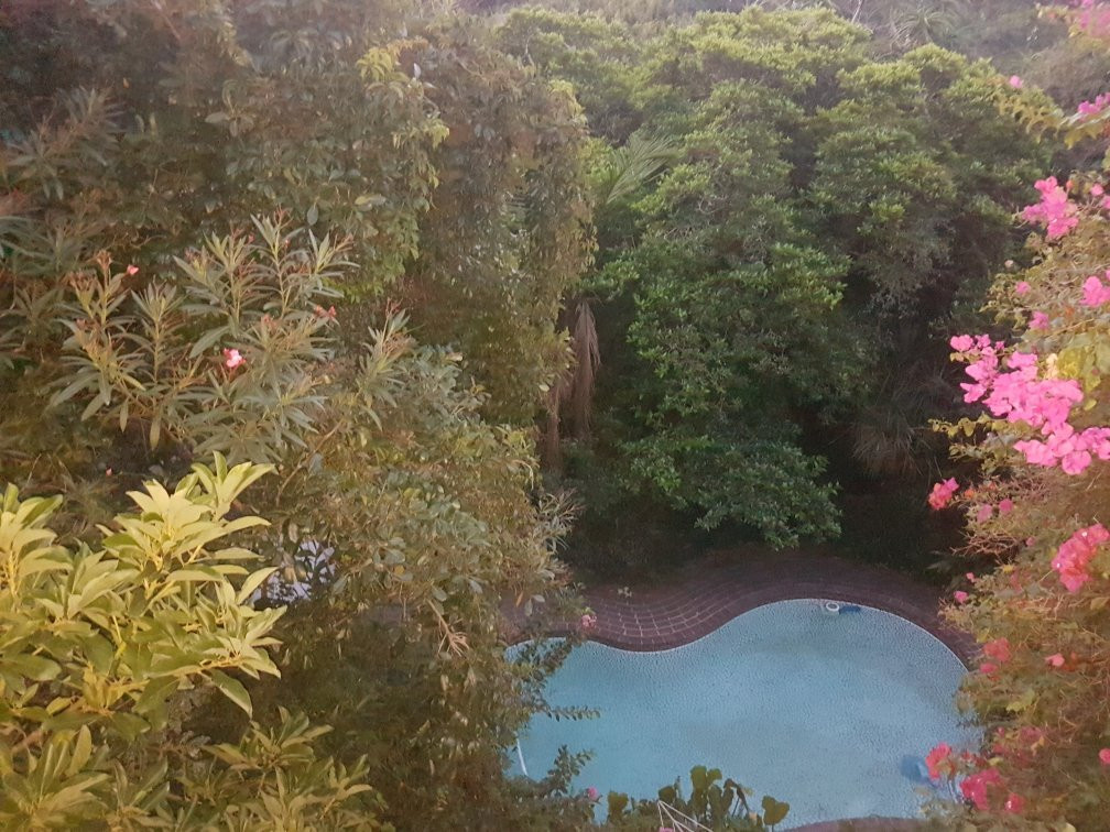 The Loerie Hide主图