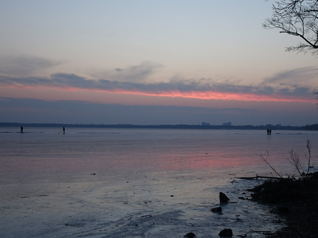 Strandbad Müggelsee景点图片