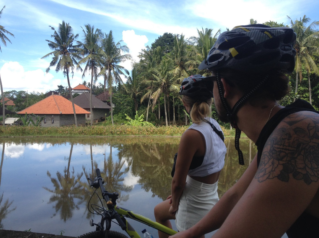 Omah Lembu Cycling Tour景点图片