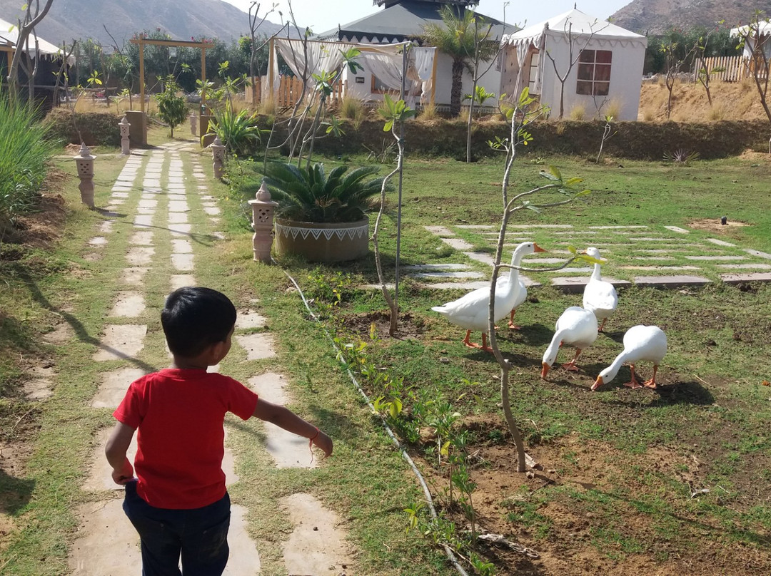 Serene Aravali Resort主图