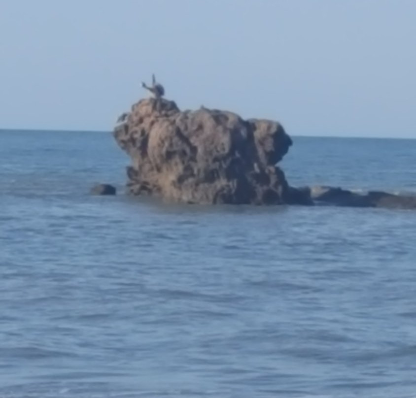 Playa Las Comadres景点图片