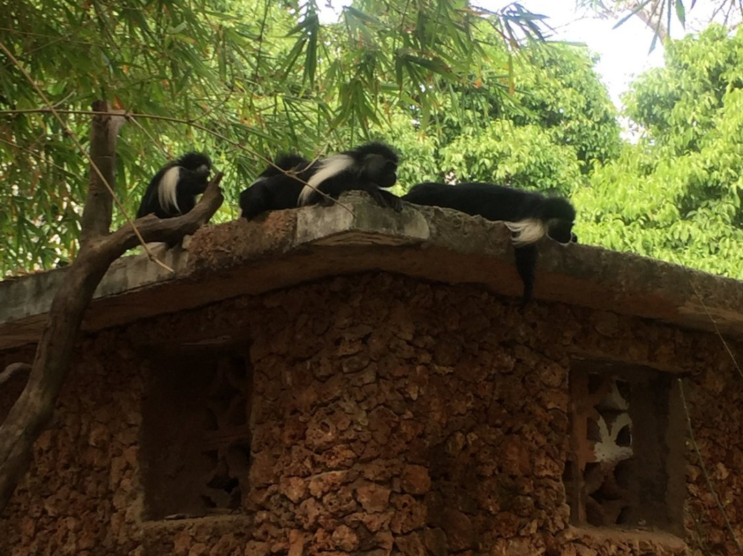 The Sands at Chale Island度假村主图