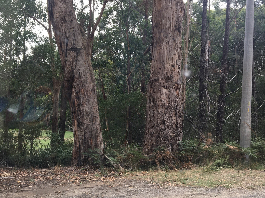 Minak Reserve-贝尔格雷夫必去景点