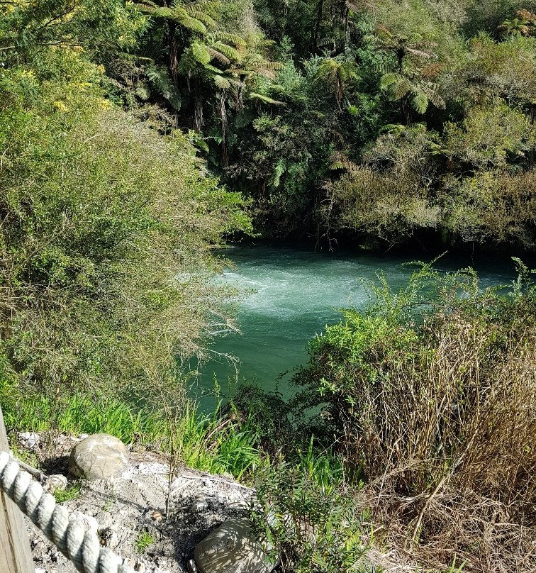 Okoroire Hot Springs Hotel主图