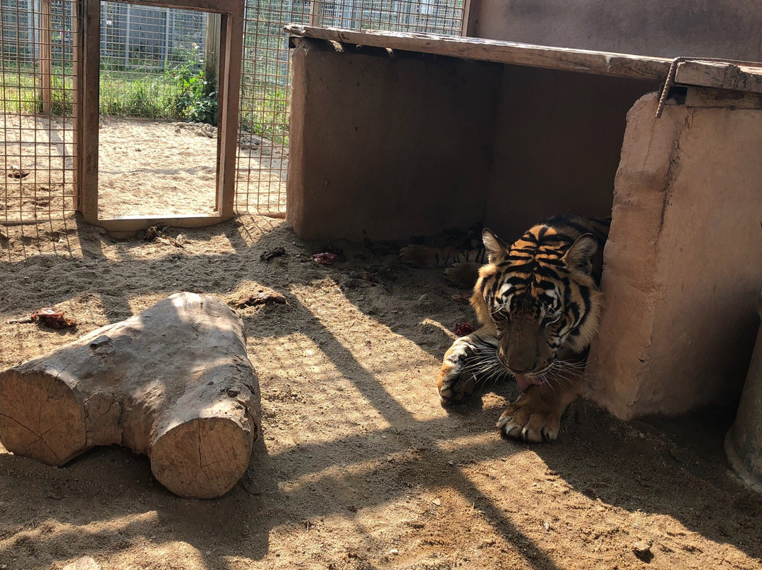 夜岁旅游景点-Mae Lao Wildlife Breeding Center