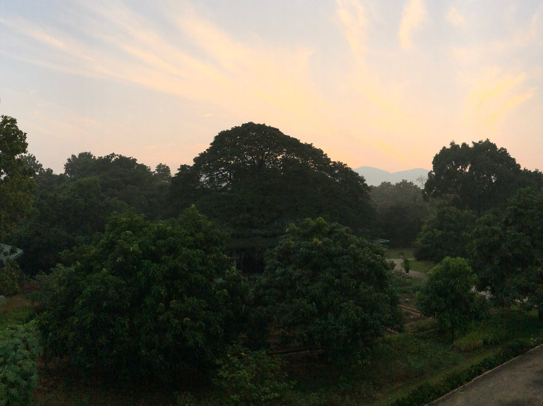 Grand & Gangula主图