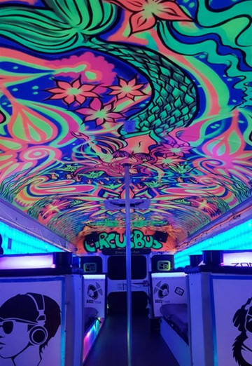 Circusbus Party Bus-多伦多必去景点