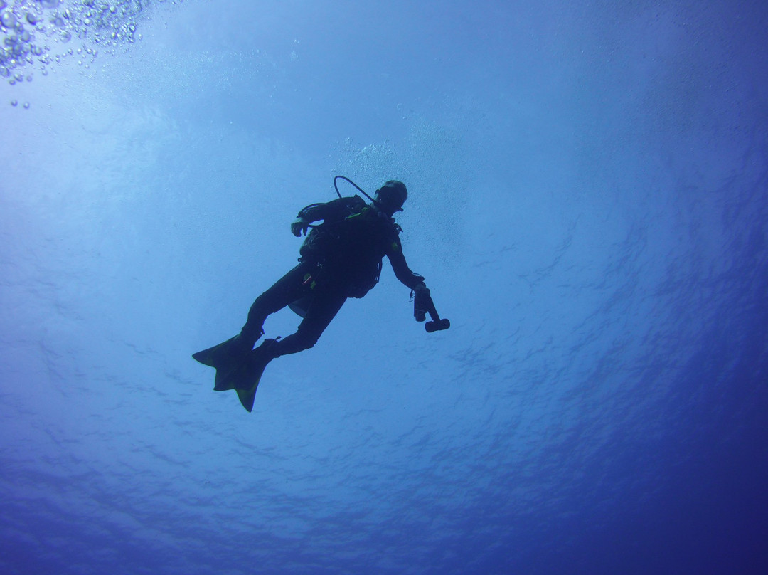 Project Scuba-Killeen必去景点