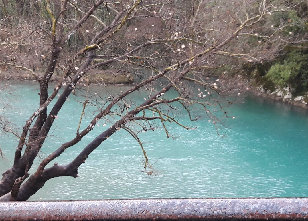 Marilou's Chani主图