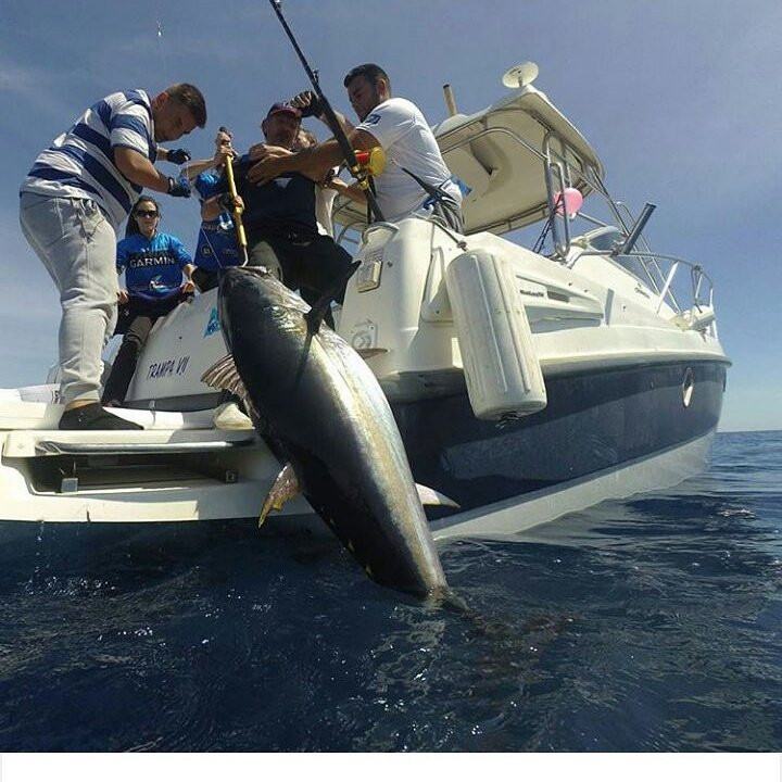 Sport Fishing Barcelona-巴塞罗那必去景点
