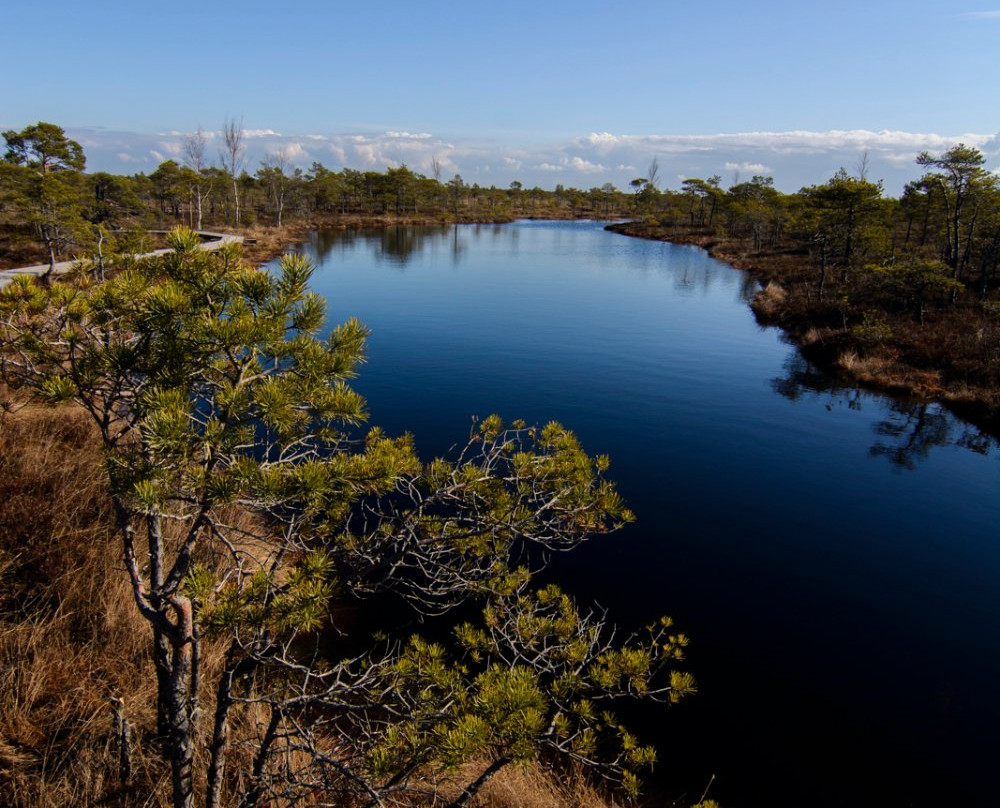 Pokaiņi Forest-Dobele必去景点