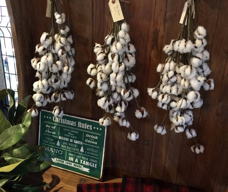 Hausita Home Revival & Antique Market-新布朗费尔斯必去景点