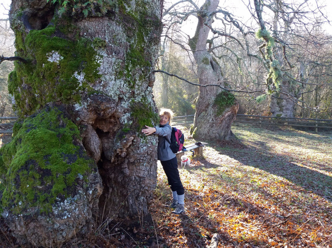 Okariz旅游攻略图片