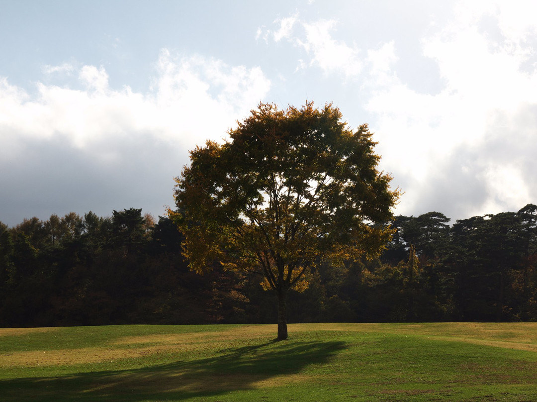 Suwanomori Nature Park-富士吉田市必去景点
