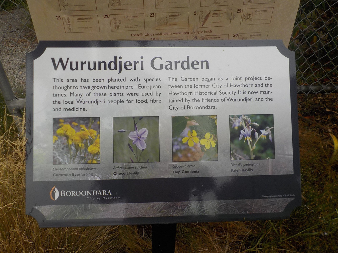 Wurundjeri Garden-霍索恩必去景点