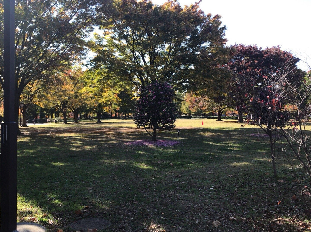 Kameido Chuo Park-Kameido必去景点
