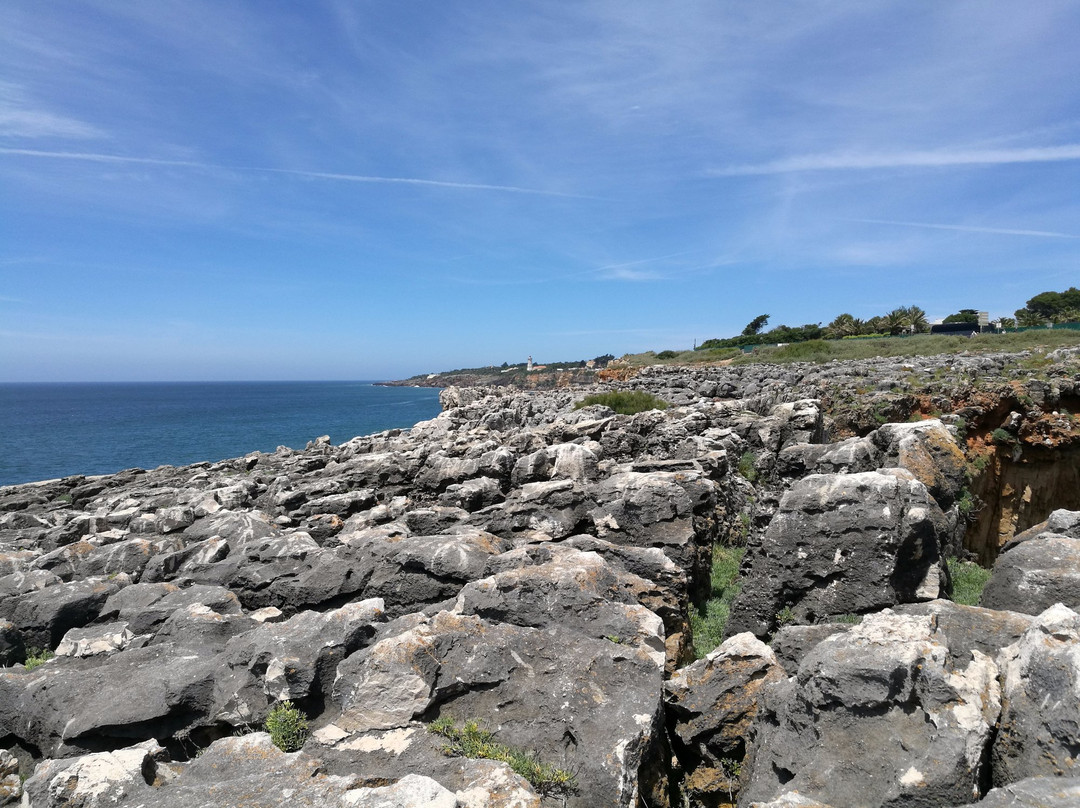 Outer Tours-阿威罗必去景点