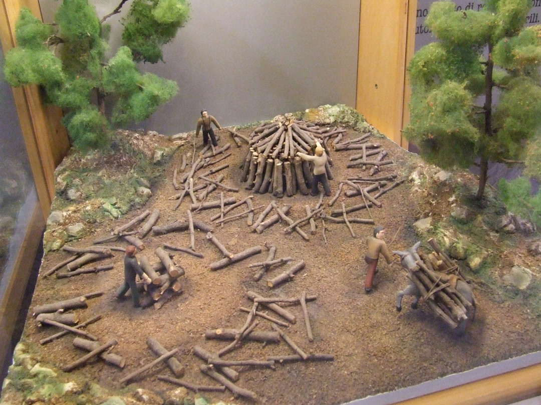 Museo Antropogeografico景点图片