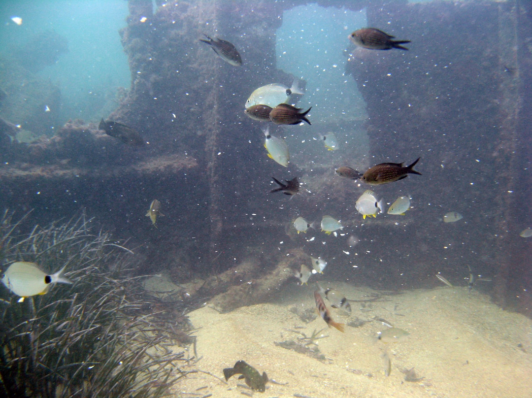 Subway Diving Centre-马赫迪耶必去景点