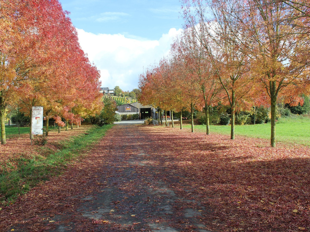 Domaine des Coteaux Blancs景点图片