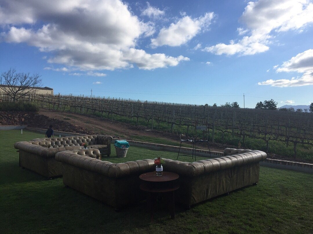 South Hill Vineyards - Elgin Western Cape-Elgin必去景点