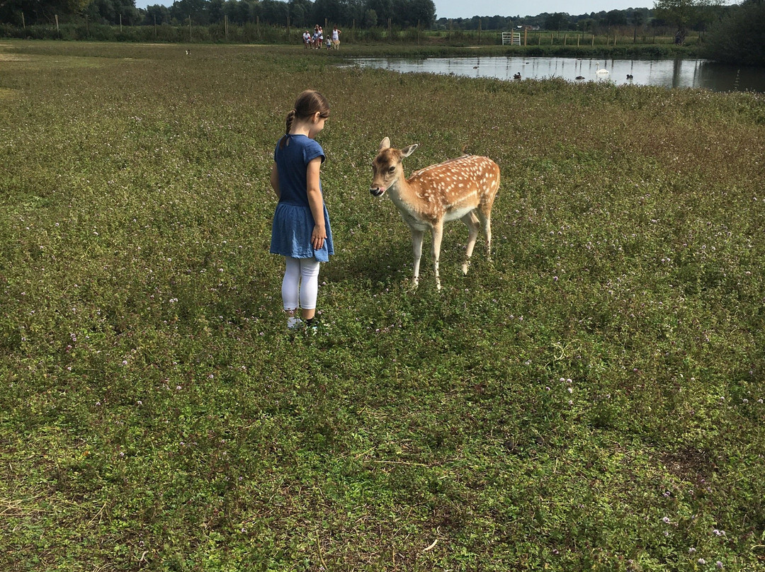 Earsham旅游攻略图片