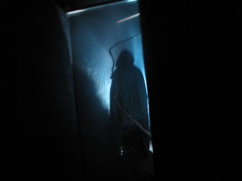 Creepy Hollow Haunted Woods-Spring Hill必去景点