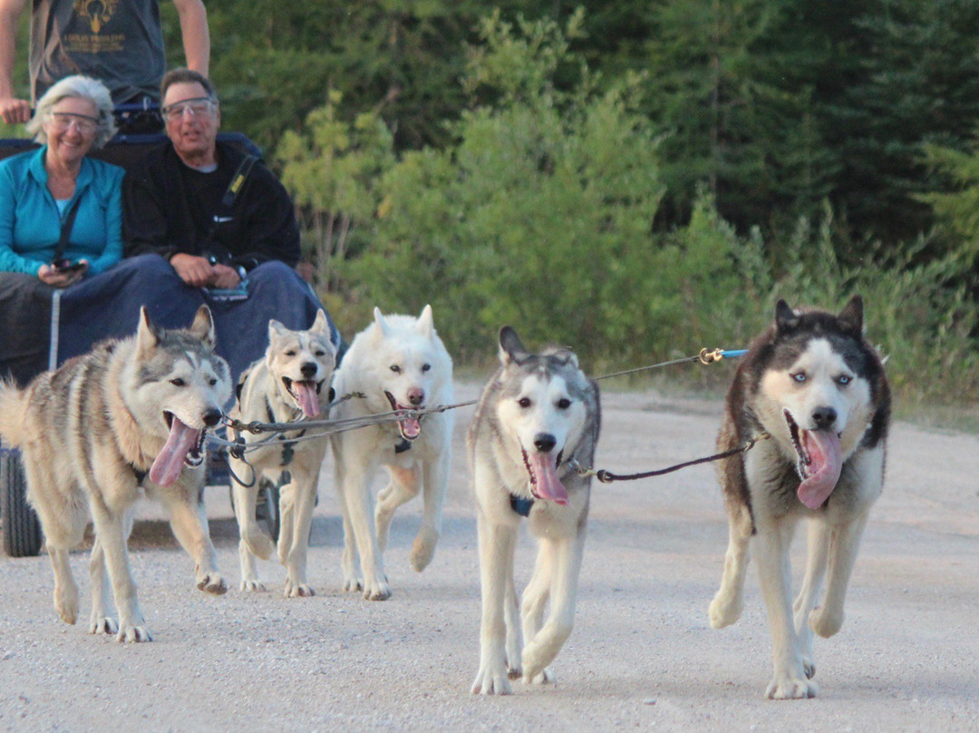 Blue Sky Expeditions-丘吉尔必去景点