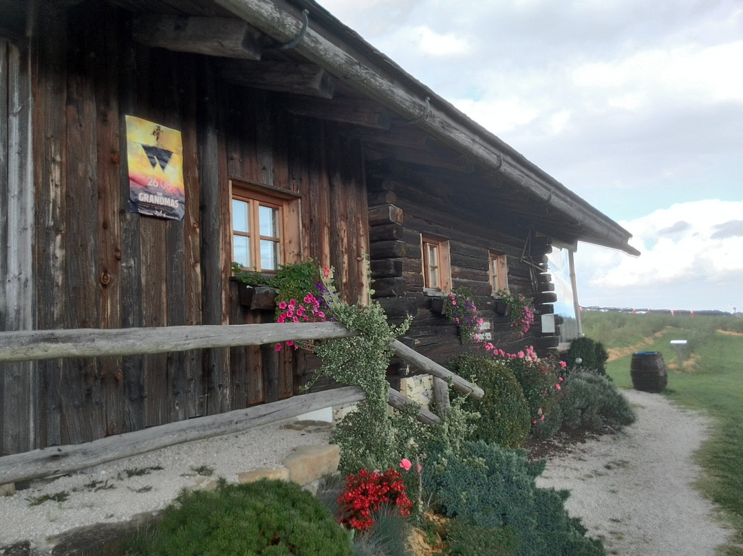Lohninger's Heidelbeergarten-Seewalchen am Attersee必去景点
