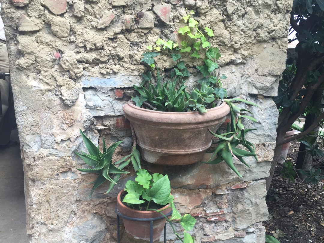 Castello Feudale Filomarino景点图片