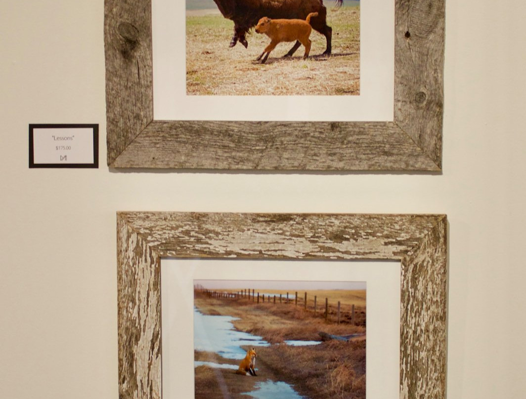 The Room At Home Gallery Western Art at Bradley's-High River必去景点