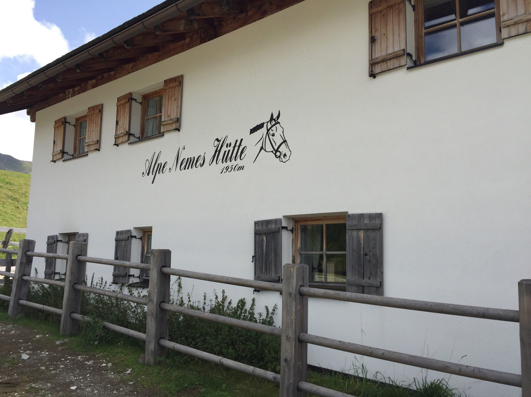 Malghe di Nemes e Coltrondo dal Passo di Monte Croce Comelico景点图片