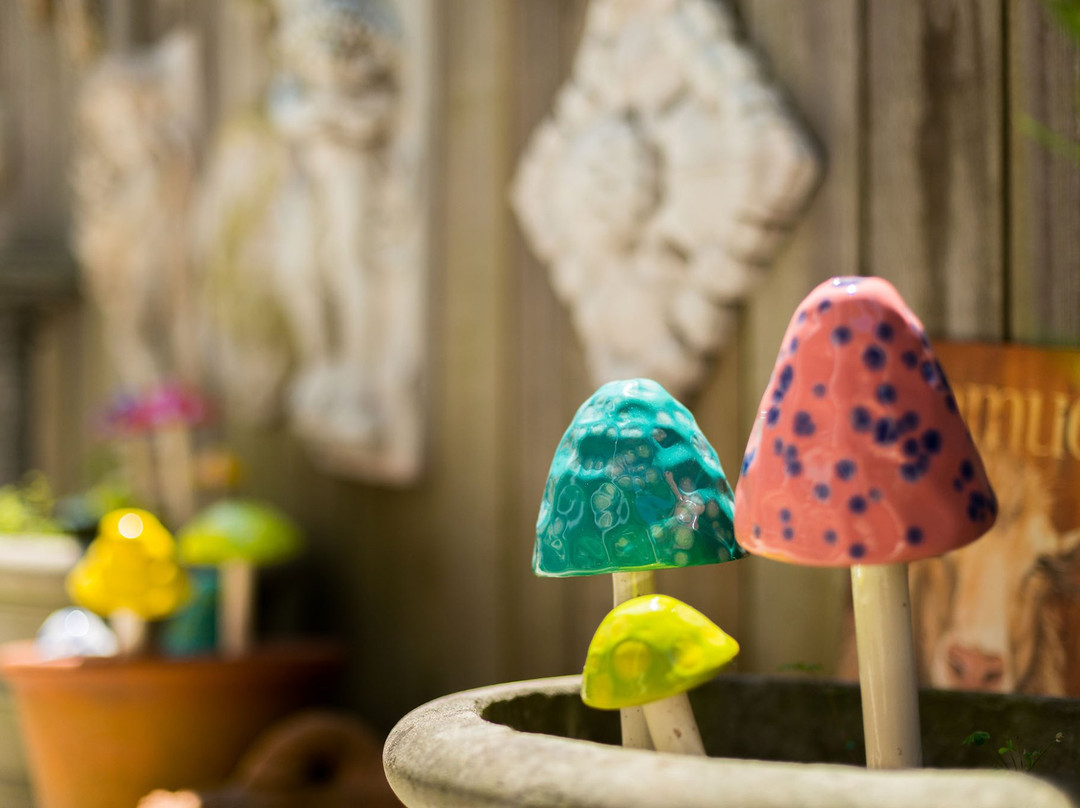 Carolina Street Garden & Home-Fenwick Island必去景点