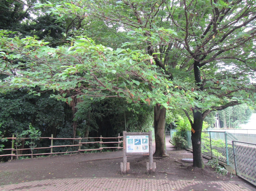 Former Mekujiri River Furusato Pedestrian Path-寒川町必去景点