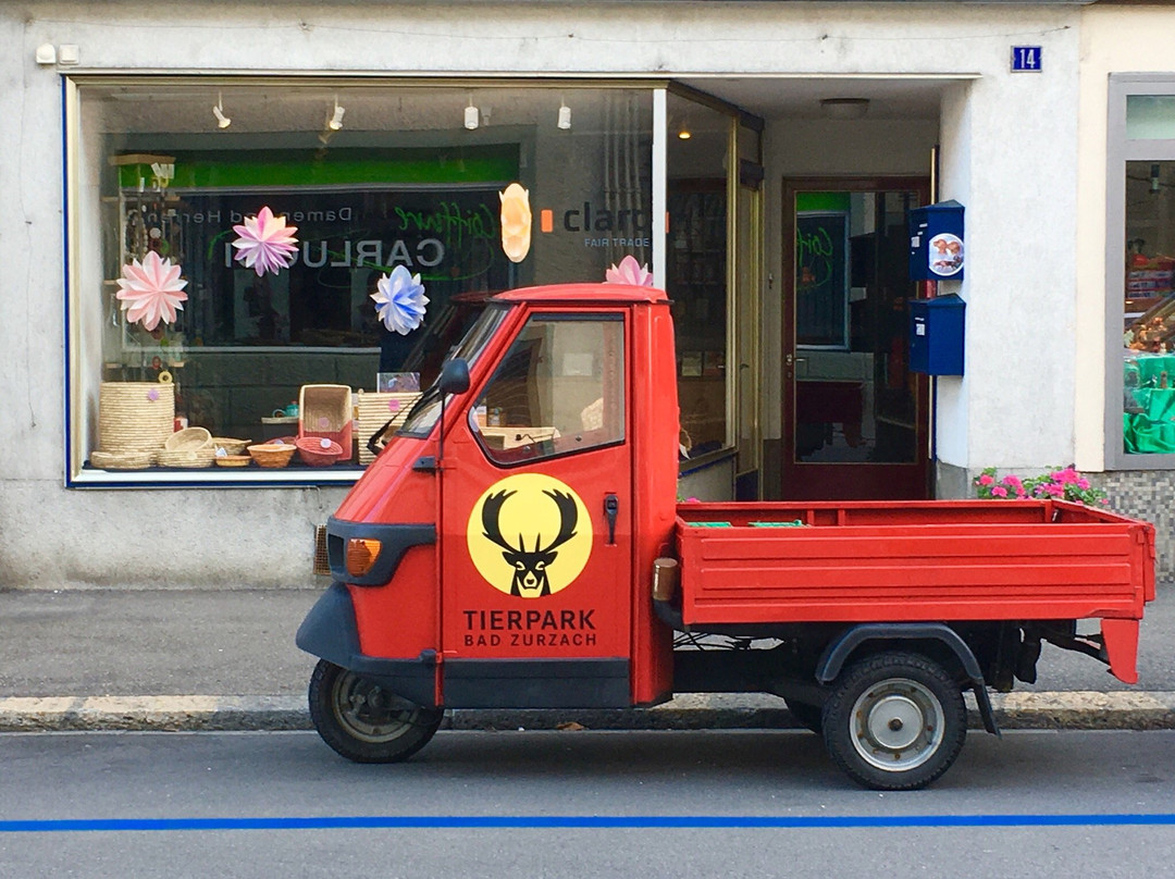 Bad Zurzach Tourismus景点图片