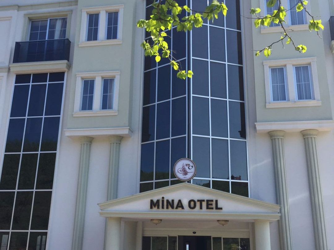 Gold Mina Hotel主图