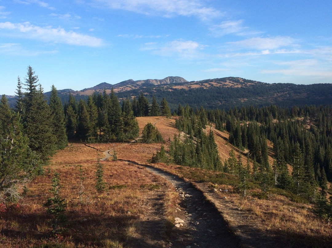Heather Meadows Trail-霍普必去景点
