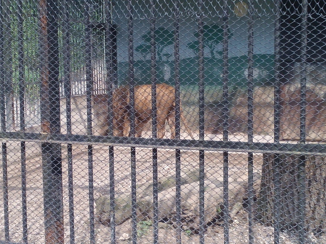 Pleven Zoo景点图片
