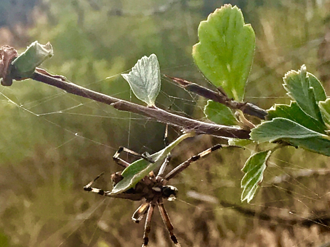 Israel Canyon Trail-Saratoga Springs必去景点