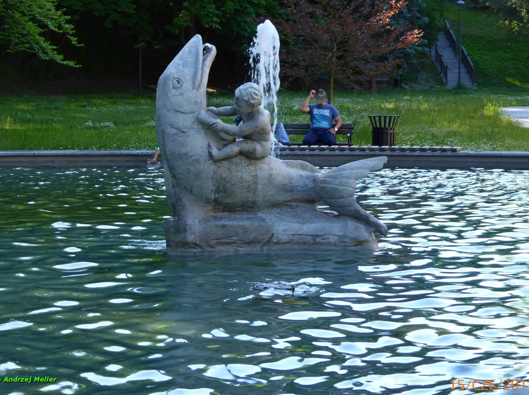 Park Zamkowy景点图片