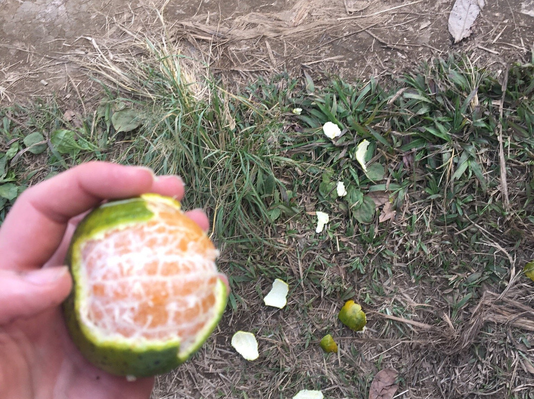 Bali UTV-佩艳艮必去景点