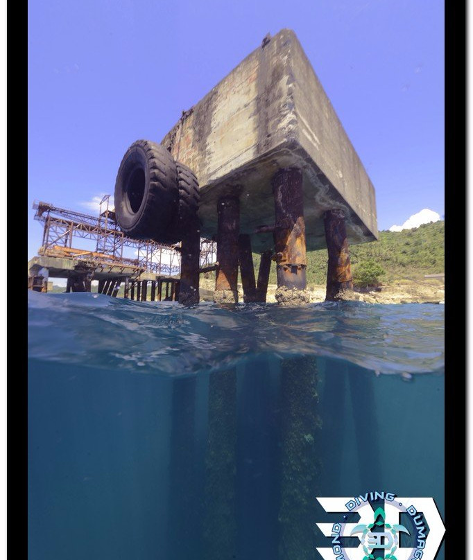 3D Diving Sipalay景点图片