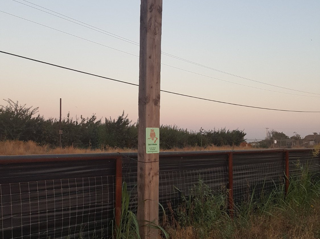 Tabitha Max Blueberry Farm-波特维尔必去景点