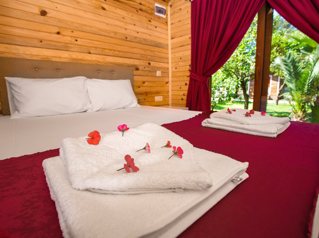 Likya Evleri Olympos