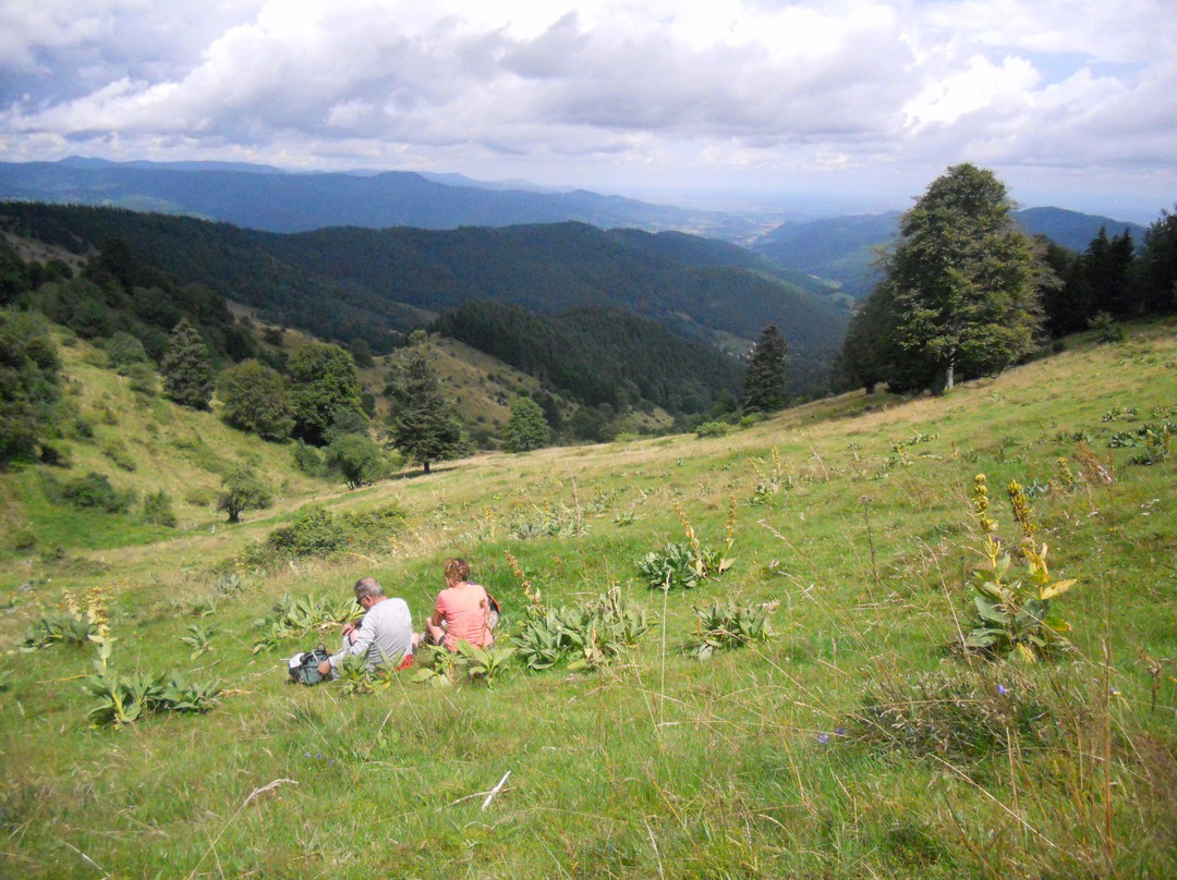 Selva Negra Outdoor景点图片