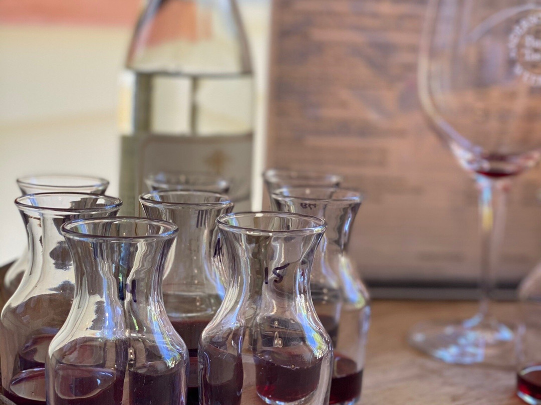 Bee Hunter Wine景点图片