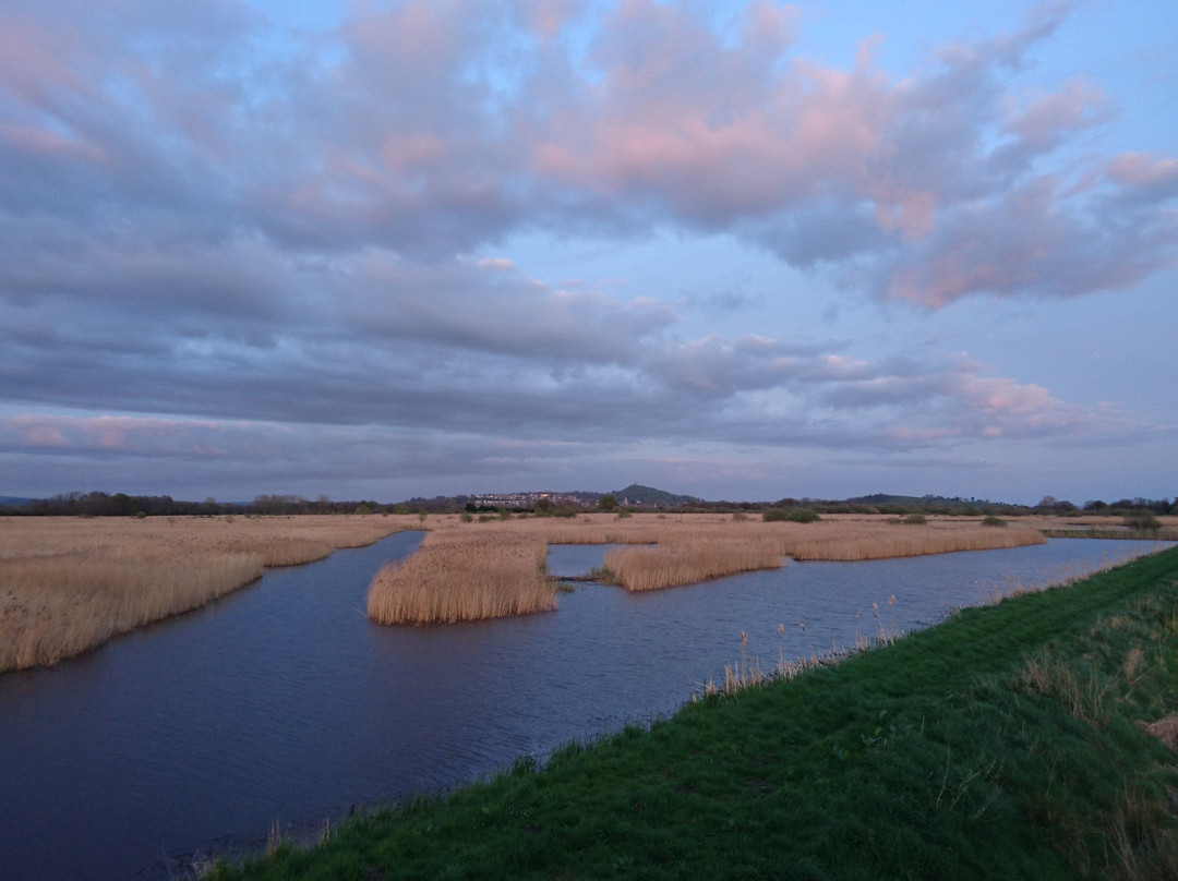 Avalon Marshes Centre景点图片