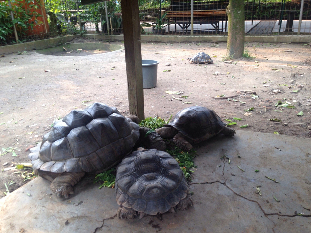 Godong Ijo-Depok必去景点