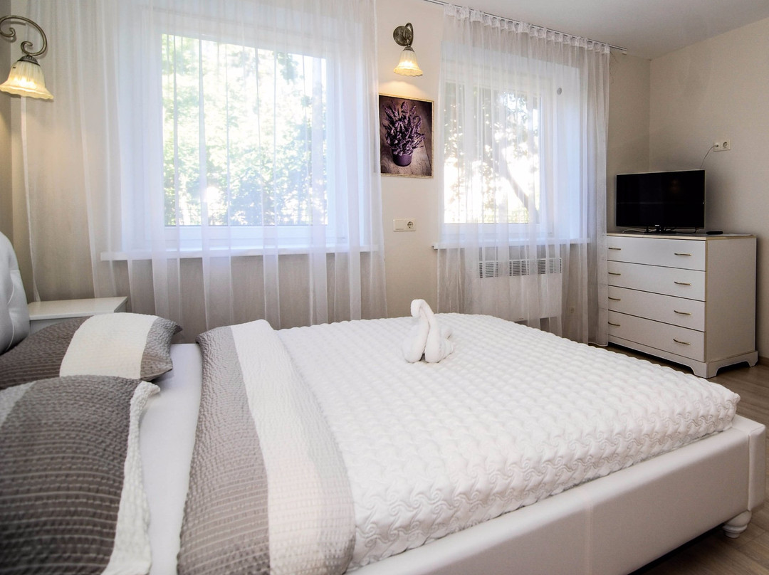 Kretingsodis酒店住宿-Guesthouse Elena