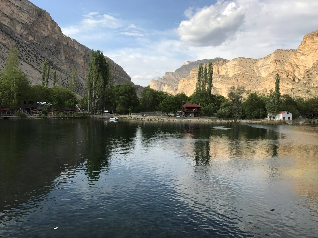 Erzurum旅游攻略图片